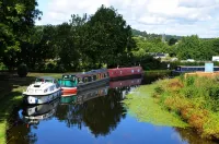 Tewitfield Marina - Haustierfreundliche