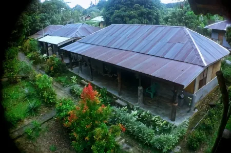 Green Lodge Tangkahan Отели в г. Namu Sialang