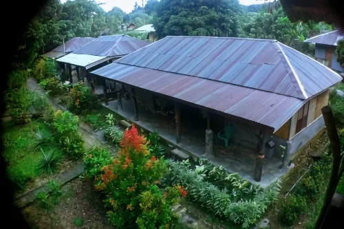 Green Lodge Tangkahan Hotel di Namu Sialang