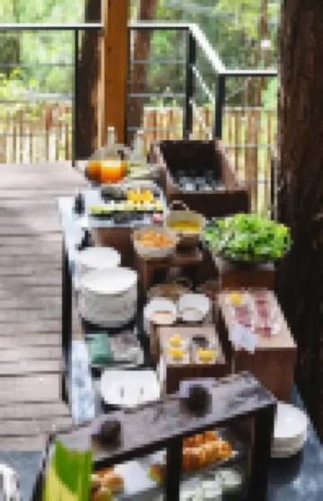 Mo Stay - Forest Resort
