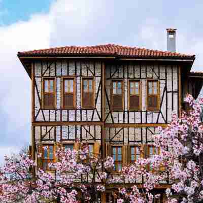 梅穆內瓦利德宮殿 Hotel Exterior