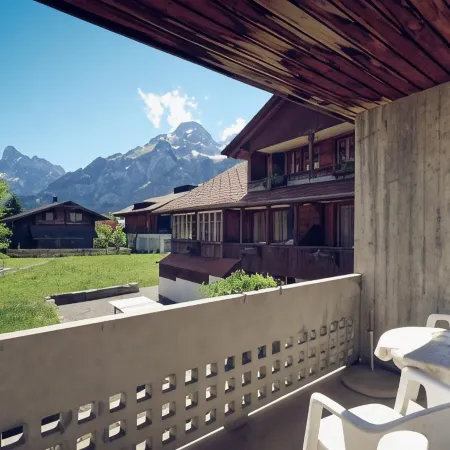 Hotel Alpina