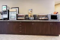 Microtel Inn & Suites by Wyndham Macon