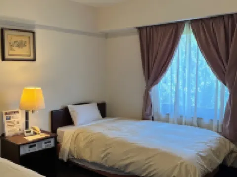 ホテルつくばヒルズ梅園店 つくばのホテル