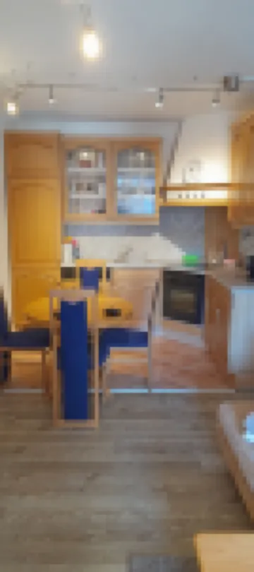 Above the clouds, in the middle of the forest