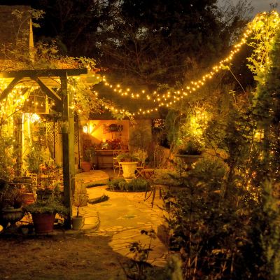 庭 ボンマリアージュ　花の森 クラリスの写真