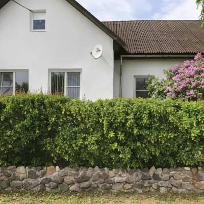 Alyans Guest House - parking