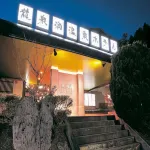 Ryusendo Onsen Hotel Hotels in Shimohei District
