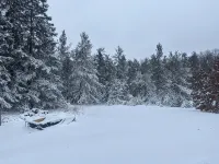 4-bedroom north woods, pet friendly cabin with WiFi, great room and fire place. - 3-Star