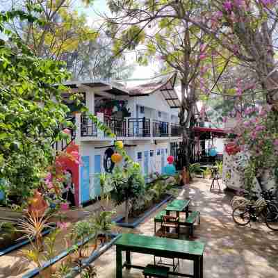 Gili Beach Bum Hotel Hotel Exterior