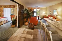 Howard Johnson by Wyndham Anaheim Hotel & Water Playground - Balkon