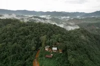 Little House In the Forest at Nan