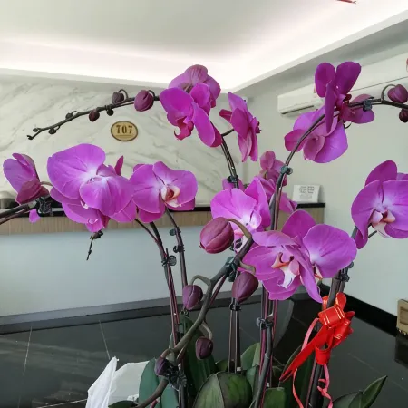 707 Hotel (Cheng Ho ) Melaka