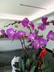 707 Hotel (Cheng Ho ) Melaka