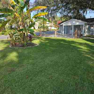 Little Blue cottage on the Bay, Panama City, Historic St Andrew's Bay Pets, Pool Hotel Exterior