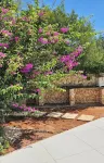 Ostuni Beachfront Villa with Pool & Private Parking, Luxury Holidays