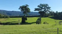 Farm "The Stockyards " 3 Bed Views Foxground.