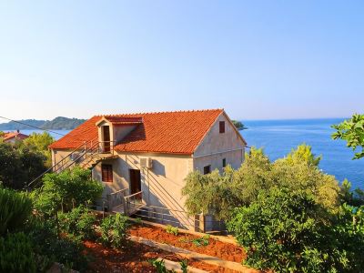 Apartments Bacic