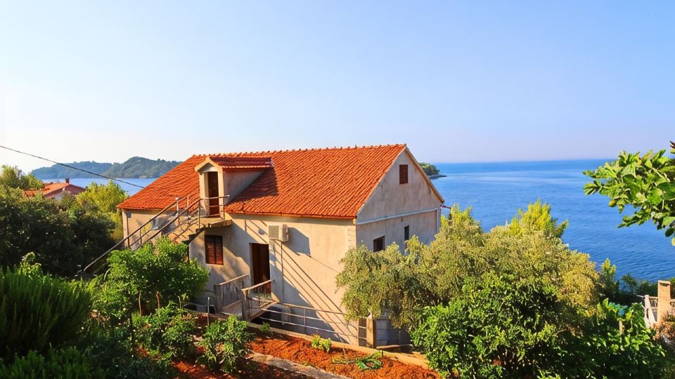 Apartments Bacic