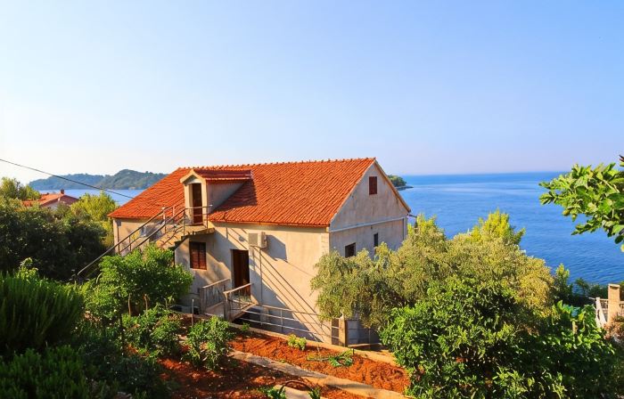 Apartments Bacic