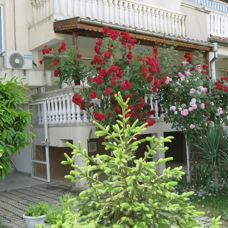 Bravo Apartments