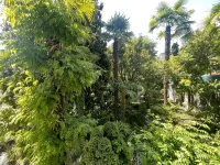 Villa Magnolia Boutique BnB - Superior Rooms - Wi-Fi