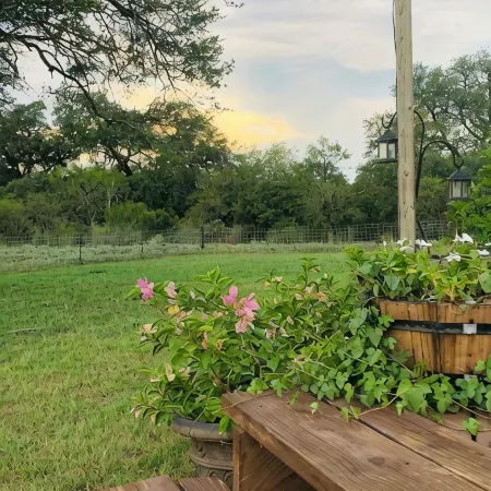 Ranch house, cottage, pool, deck, small basketball court, private gated entrance