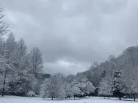鐵杉山谷--毗鄰公園的僻靜荒野木屋
