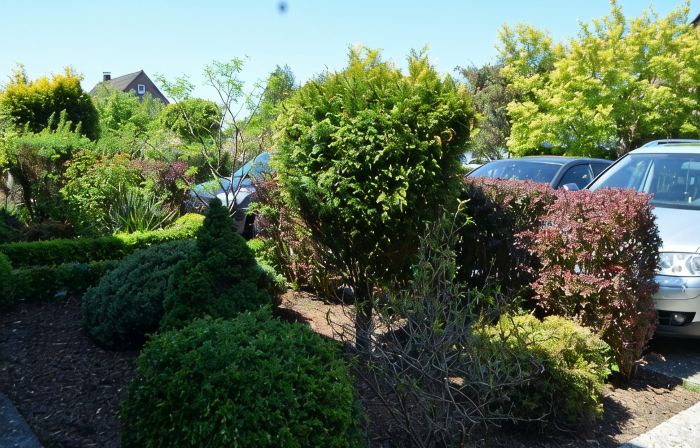 Bright, spacious comfort apartment with private garden and walk-in shower.