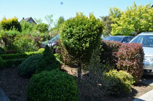 Bright, spacious comfort apartment with private garden and walk-in shower.