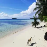 เฟอร์รา รีสอร์ท ซีอาร์เกาะ