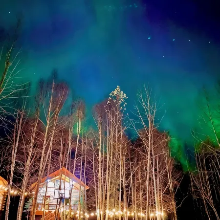 Riverfront, Authentic, Luxury Log Cabin-Bull Moose
