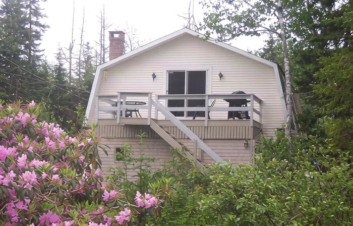 Treetop retreat with access to kayaks and rowboat near Acadia National Park
