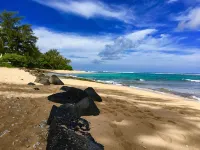 Solar-Powered 3Br Family Home in Princeville, Kauai – Mountain Views - Mountain view