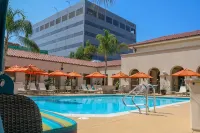 Pasadena Hotel & Pool - Pools