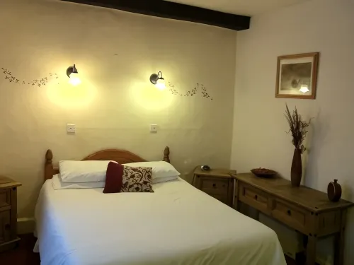 The George Hotel - Ramah Hewan Peliharaan