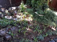Upper Houghton Guesthouse Hotels in 