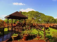 Yangon International Hotel - spa