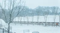 Chungju Jackson Glamping Pet-Friendly - Boutique