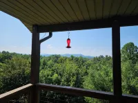 Mountain Views All Year! Charming 3-Bed Cabin Just Minutes from Downtown - Vuoristonäköala