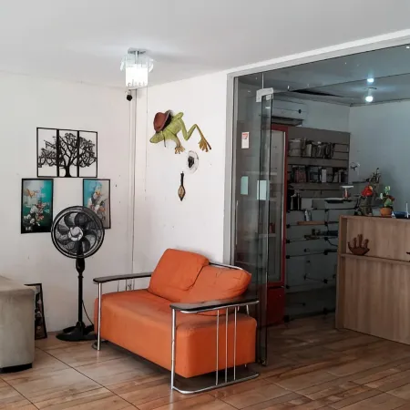 Hotel Raiz