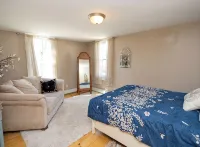 A Comfy Cozy Cottage on Clowney - Homestays