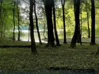 Cozy lakehouse retreat w/kayaks, high speed Wi-Fi, and pet friendly! - 3-Star