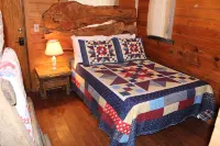 Step back in time a charming 1880 historic cabin - Homestays