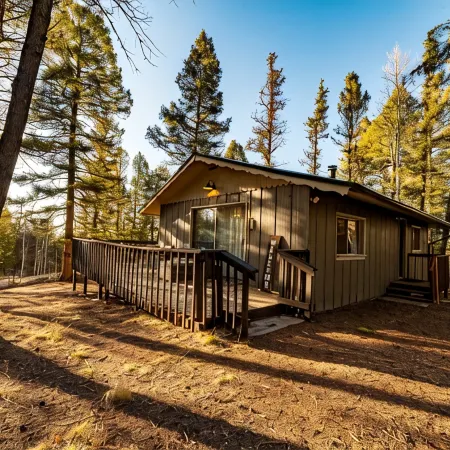 The Den- Forest Cabin Retreat