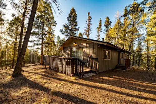 The Den- Forest Cabin Retreat - Hytter