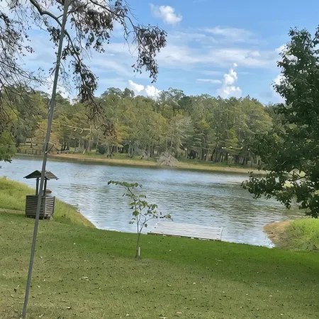 Cabin On The Lake