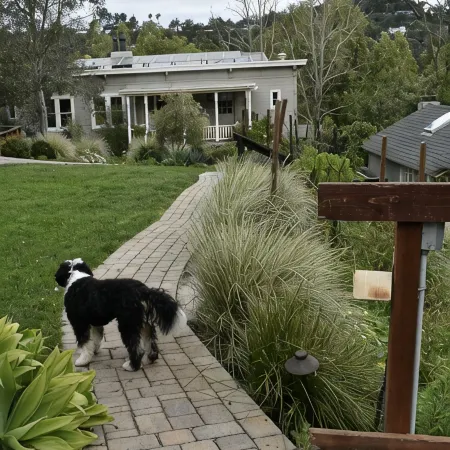 Lovely, Large 1 Br Apt in Sunny Central Marin! On 2 acres of gardens & woodlands