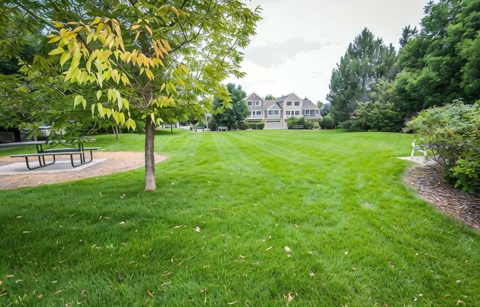 Colorado Rockies 3-Bedroom Retreat