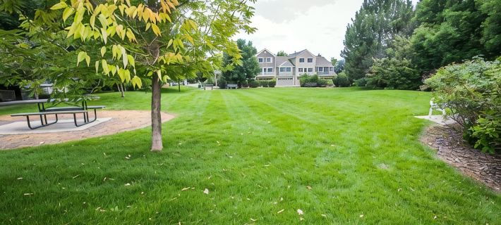 Colorado Rockies 3-Bedroom Retreat Hotels in Longmont